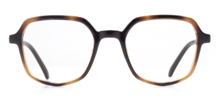 BENX FANTASIA BXFNTS 1317-DM05 Optik Genç Erkek,Kadın,Unisex Geometrik Çerçeveli Grilamid TR90 