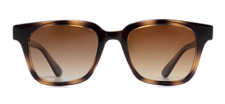 BENX SUNGLASSES BXGÜNŞ9061-DM05 Güneş Genç Erkek,Kadın,Unisex Köşeli Çerçeveli Grilamid (TR90) Polarize 