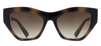 BENX SUNGLASSES BXGÜNŞ9301-DM05 Güneş Genç Kadın Çekik Çerçeveli Grilamid TR90UV400 