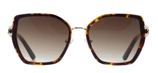 CARETTA CRTTAGÜNŞ 8604-C.02 Güneş Genç Kadın Oval Çerçeveli Metal UV400 