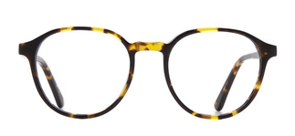 GOLDBERRY GB 4018-C.02 Optik Genç Erkek 