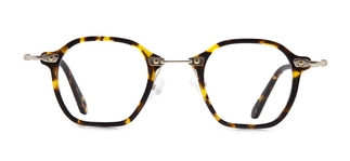 GOLDBERRY GB 4026-C.02 Optik Genç Erkek 