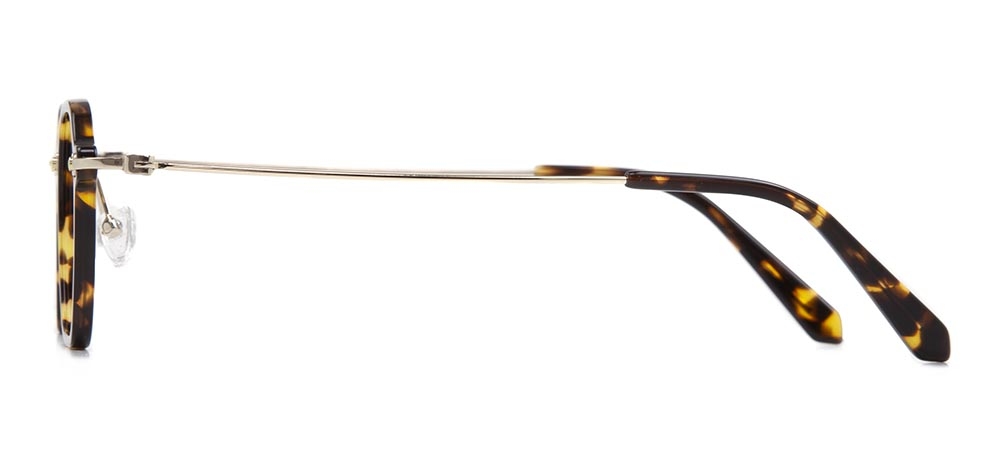 GOLDBERRY GB 4026-C.02 Optik Genç Erkek - 3
