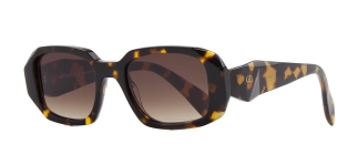 GOLDBERRY GBGNŞ 4505-C.02 Güneş Genç Kadın Köşeli Çerçeveli Asetat UV400 - GOLDBERRY (1)