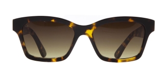 GOLDBERRY GBGNŞ 4513-C.02 Güneş Genç Kadın Köşeli Çerçeveli Asetat UV400 