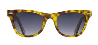 GOLDBERRY GBGNŞ 4515-C.07 Güneş Genç Erkek 