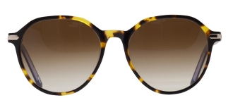 GOLDBERRY GBGNŞ 4516-C.02 Güneş Genç Erkek, Kadın, Unisex Geometrik Çerçeveli Asetat UV400,Polarize 