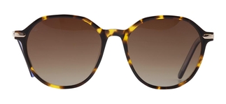 GOLDBERRY GBGNŞ 4516-C.02 Güneş Genç Erkek 