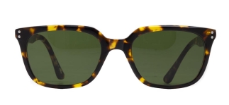 GOLDBERRY GBGNŞ 4553-C.10 Güneş Genç Erkek Köşeli Çerçeveli Asetat UV400 