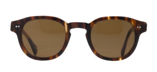 GOLDBERRY GBGNŞ 4556-C.02 Güneş Genç Erkek,Kadın,Unisex Oval Çerçeveli Asetat UV400 