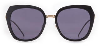 PROSUN PS6008-C19 Güneş Yetişkin Kadın Geometrik Çerçeveli Titanyum Polarize 