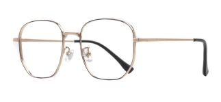 ROCOCO ROC 8553-C.01 Optik Genç Kadın Köşeli Çerçeveli Titanyum - ROCOCO (1)