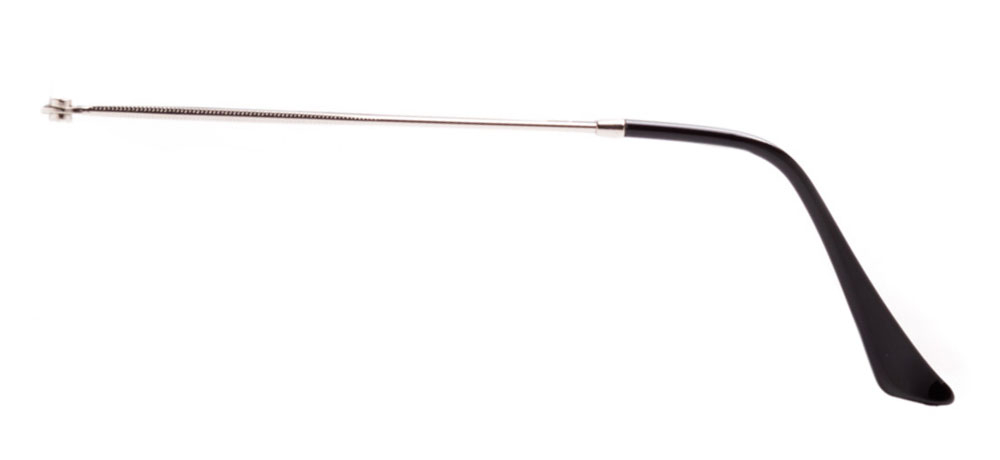 SAP - 19